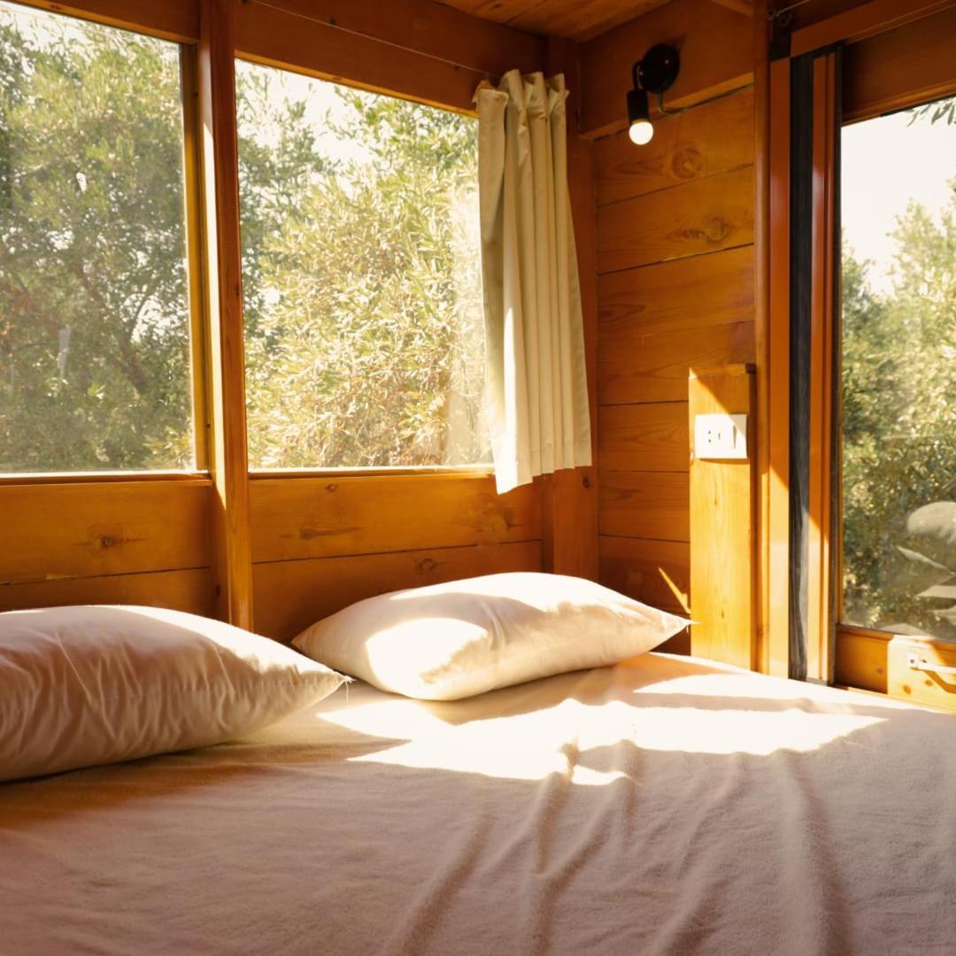 Northern Lake Lodge Izbat Ilyas Kültér fotó