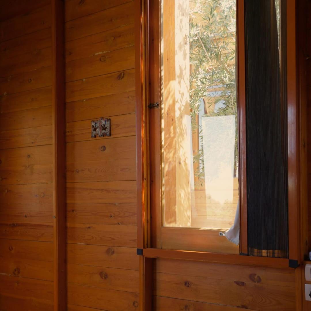 Northern Lake Lodge Izbat Ilyas Kültér fotó